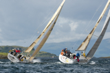 whyw13 tue 2397